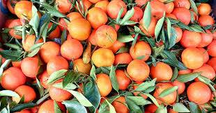 ماذا يحدث عند تناول الكلمنتين بانتظام؟ الفوائد قد تدهشك