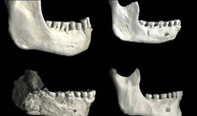 عمرها 773 ألف سنة.. اكتشاف أقدم أحافير بشرية في المغرب