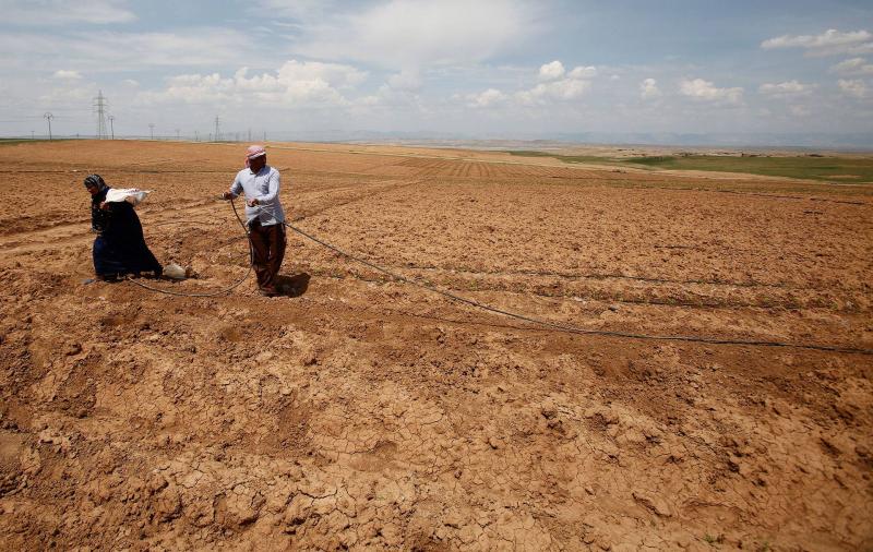 العراق يتوقع استيراد ما بين 600 ألف ومليون طن من القمح