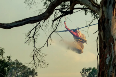 أسوأ موجة حارة منذ 