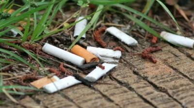 أعقاب السجائر.. من خطر بيئي إلى فرصة للطاقة النظيفة