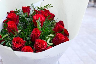 حين تلد الحرب حبًا… وفي عيد الحب هذا ما أقوله