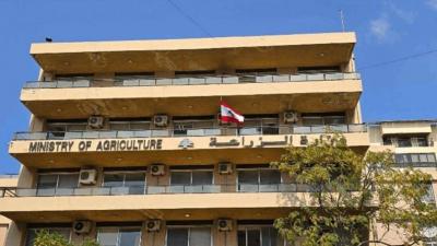 ما حقيقة انتشار مرض وبائيّ جديد؟