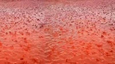 البريطانيون على موعد مع 