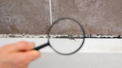 فطر شائع في البيئة قد يصبح خطيراً داخل المستشفيات