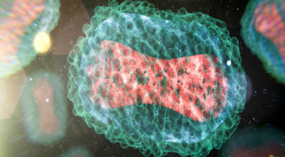 نيويورك تسجل أول إصابة بالسلالة الأخطر من فيروس 
