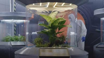 ابتكار ثوري لزراعة الخضار في الفضاء.. نتائج مذهلة لغبار المريخ والبكتيريا الزرقاء