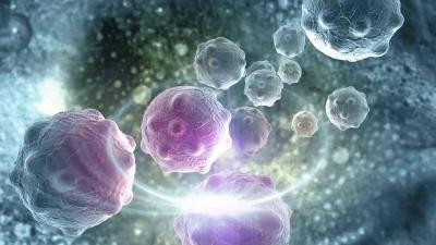 اكتشاف سبب خفي وراء فشل أدوية السرطان لدى البعض