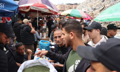 من المطبخ إلى التدخين.. الملوخية بديل اضطراري للسجائر في غزة