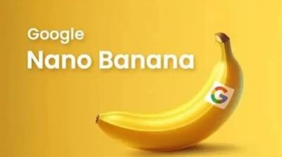 لماذا يحمل نموذج 