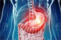 معدة الإنسان