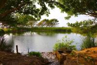 محمية شاطئ صور الطبيعية