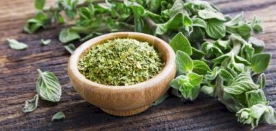 الأوريغانو قد يدعم ضغط الدم... رغم محدودية الأدلة
