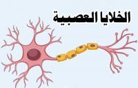 العصبية الزائدة