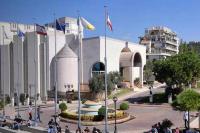 جامعة سيدة اللويزة