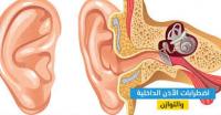 الأذن الداخلية الأذن الداخلية