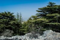 أهم المعالم السياحية القريبة من مغارة قاديشا