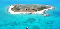 جزيرة النخل