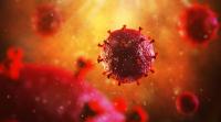 فيروس HIV فيروس HIV
