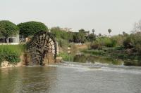 نهر العاصي