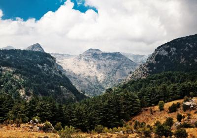 دليل محمية حرش إهدن الطبيعية
