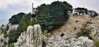 أرز جاج (Jaj Cedars) أرز جاج (Jaj Cedars)
