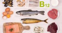 مصادر فيتامين B12