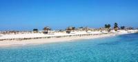 جزر النخيل جزر النخيل