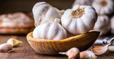أكبر الدول المنتجة للثوم في العالم