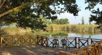 مدينة صور مدينة صور