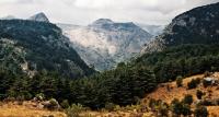 التنوع الجغرافي