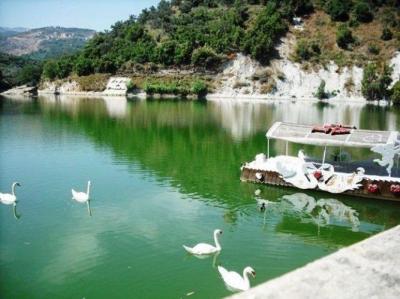 لعشاق الطبيعة .. بحيرة بنشعي تقع في شمال لبنان 