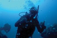 Scuba Diving Scuba Diving