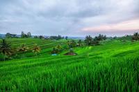 Indonesian island Indonesian island
