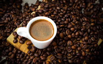 أكثر 10 دول تصديراً للبن في العالم