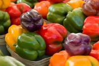 Bell pepper Bell pepper