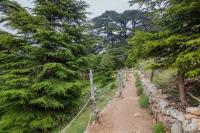Places worth visiting in Lebanon at least once