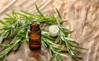 Benefits of rosemary oil for hair Benefits of rosemary oil for hair