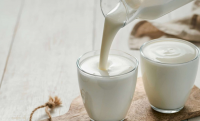 Kefir milk Kefir milk