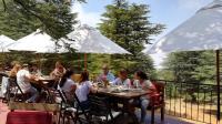 Al Shouf restaurants Shouf restaurants