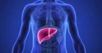Fatty liver