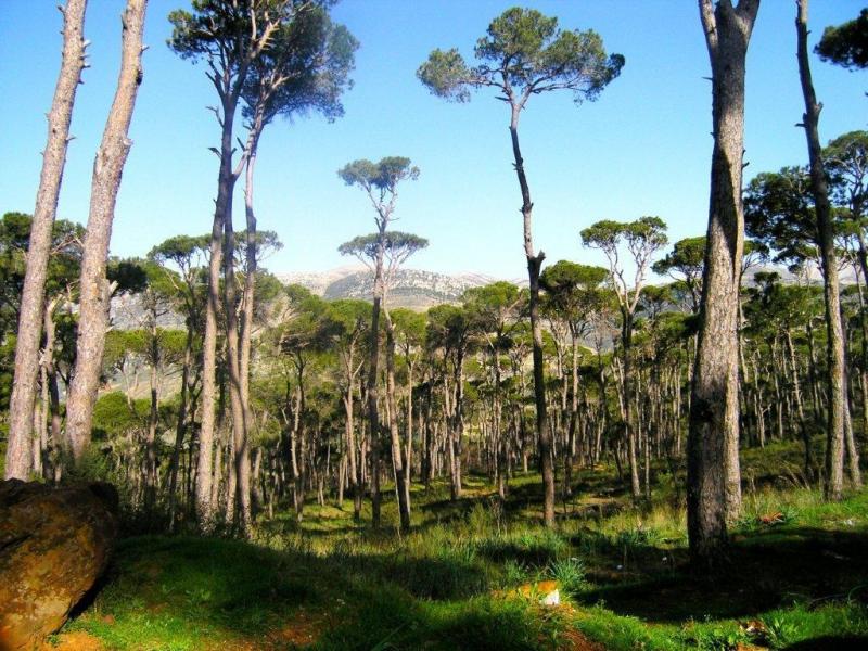Top Relaxation Spots in Lebanon