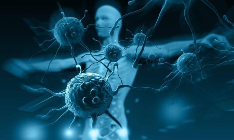 Autoimmune Diseases: When the Body Attacks Itself