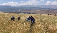 The fastest growing economic sectors in Lebanon The most rapidly growing economic sectors in Lebanon