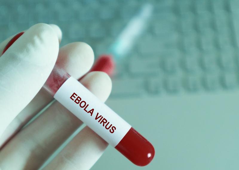 Concerns over Major Ebola Outbreak in Africa
