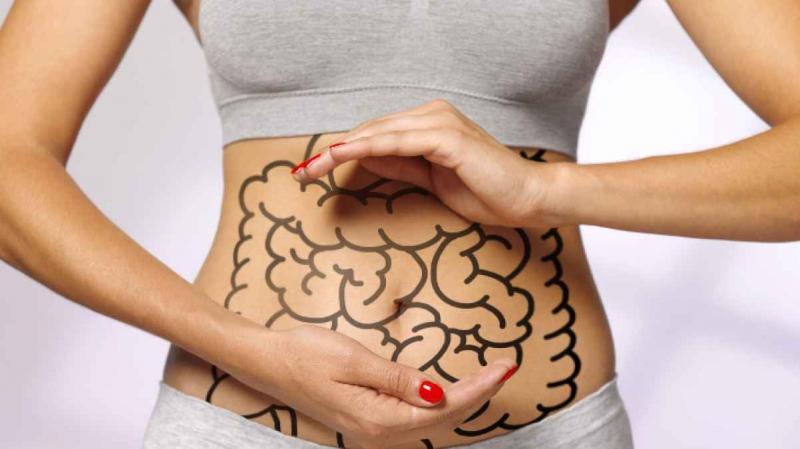 Top 10 Foods for Gut Health