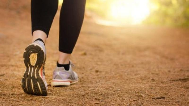 Can Walking Daily Help You Lose Weight?