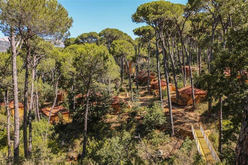 Top Mountain Cabins in Lebanon for a Scenic Getaway