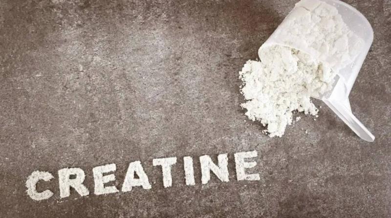 The Ideal Daily Dose of Creatine Explained