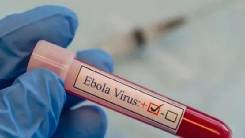 Is Ebola Present in Lebanon? Government Confirms Safety